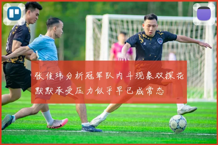 张佳玮分析冠军队内斗现象双探花默默承受压力似乎早已成常态